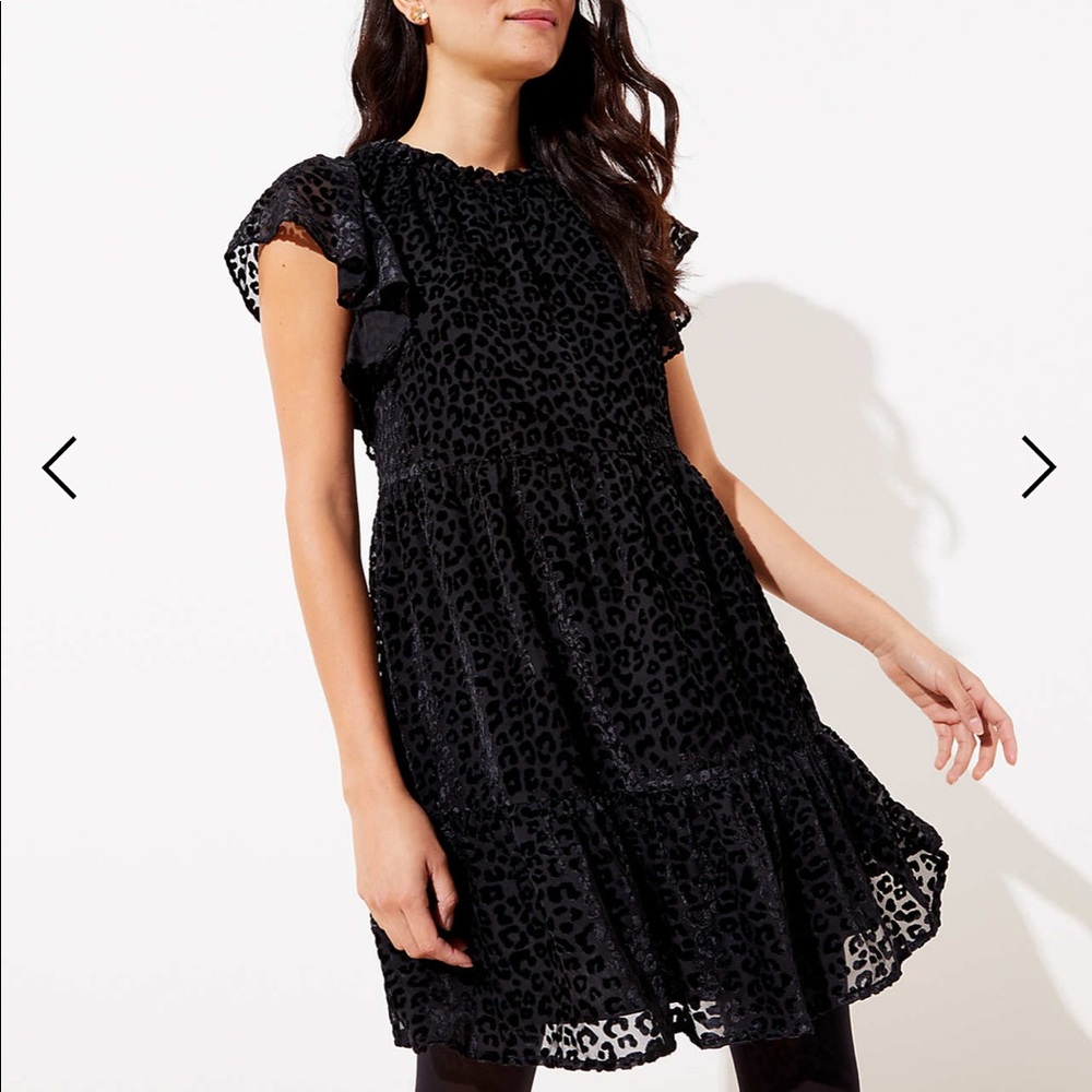 LOFT Leopard Print Velvet Swing Dress - XS